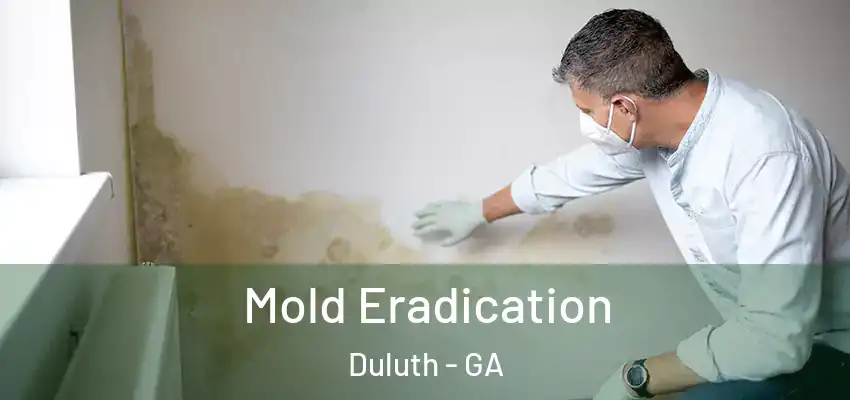 Mold Eradication Duluth - GA