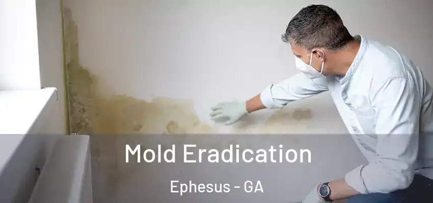 Mold Eradication Ephesus - GA