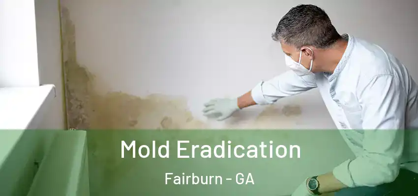 Mold Eradication Fairburn - GA