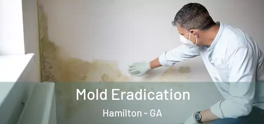 Mold Eradication Hamilton - GA