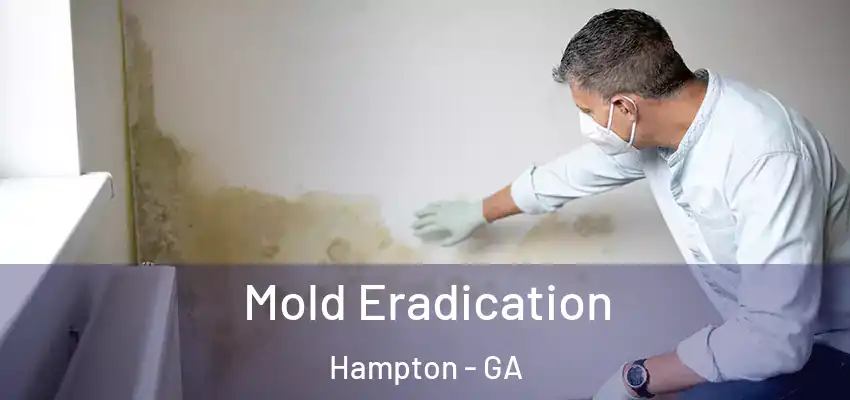 Mold Eradication Hampton - GA