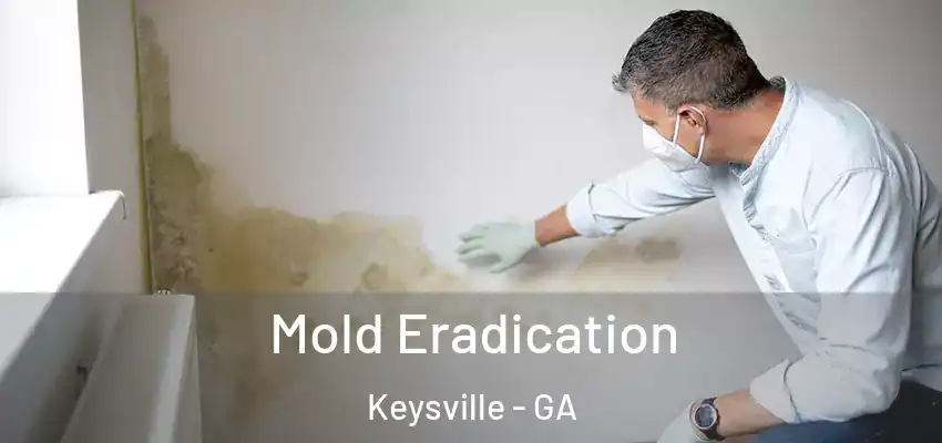  Mold Eradication Keysville - GA