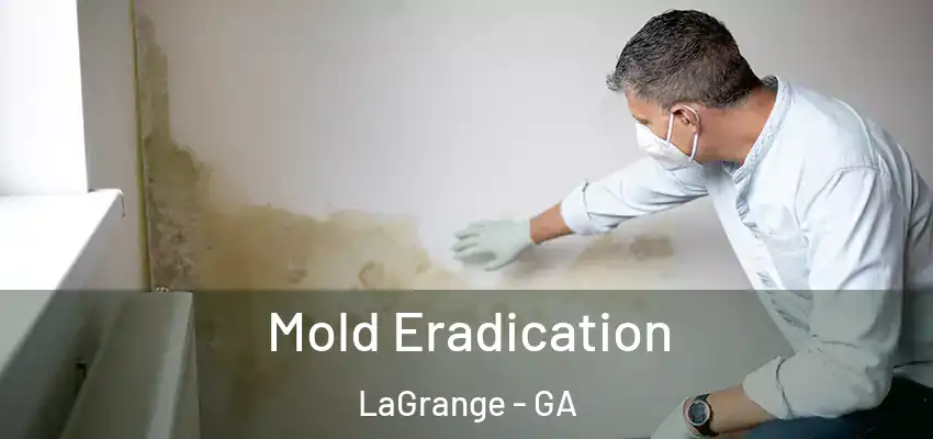 Mold Eradication LaGrange - GA