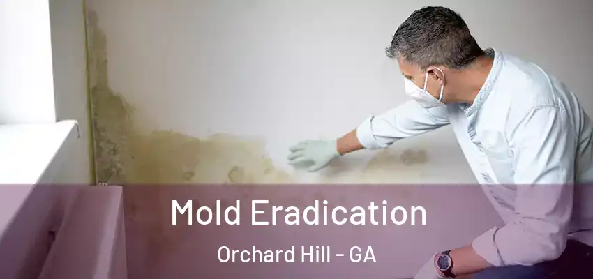 Mold Eradication Orchard Hill - GA