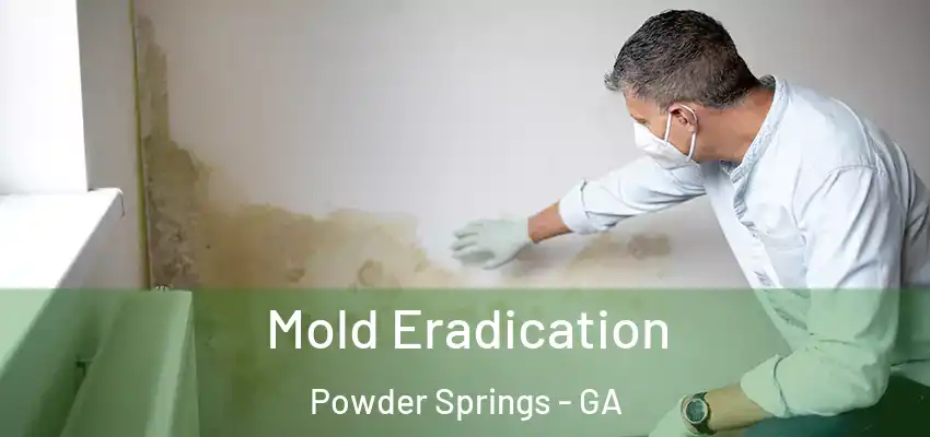 Mold Eradication Powder Springs - GA
