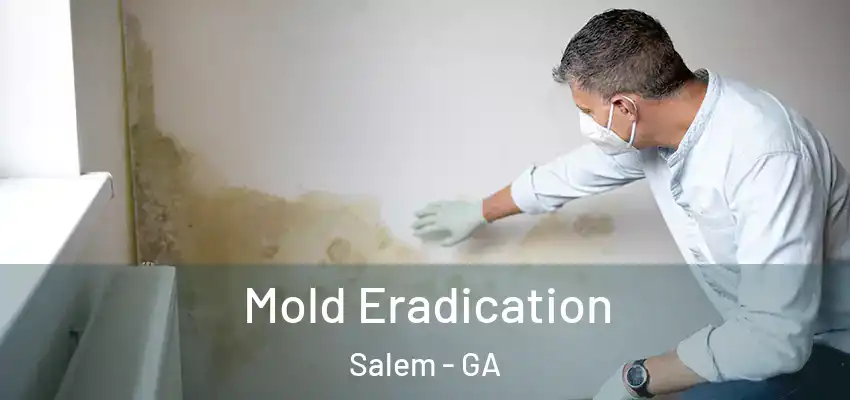Mold Eradication Salem - GA
