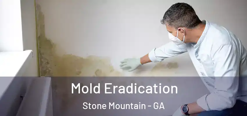 Mold Eradication Stone Mountain - GA