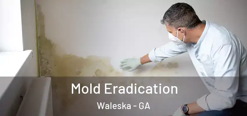 Mold Eradication Waleska - GA