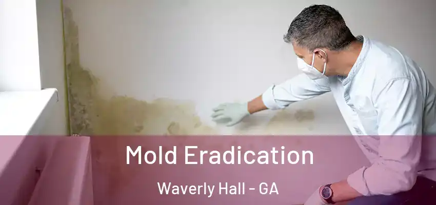 Mold Eradication Waverly Hall - GA