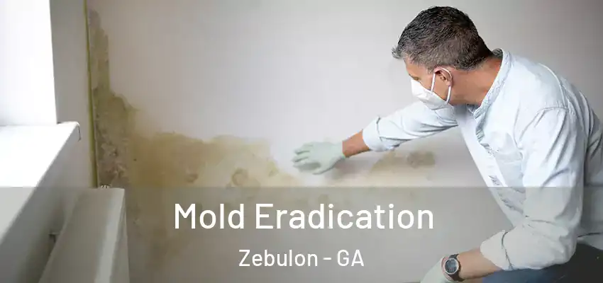 Mold Eradication Zebulon - GA