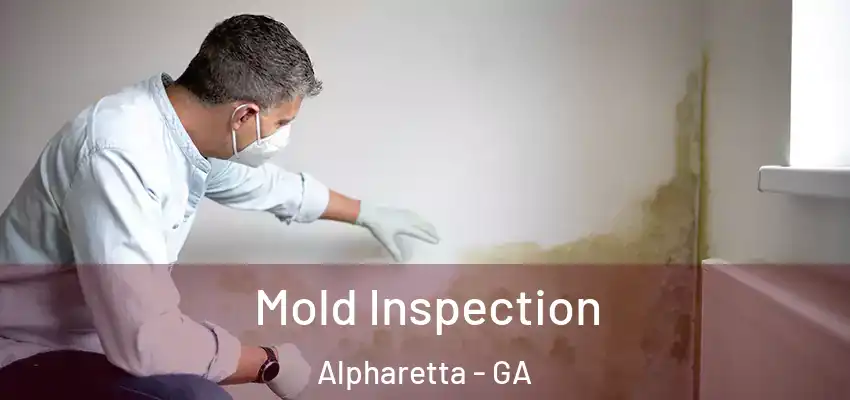 Mold Inspection Alpharetta - GA