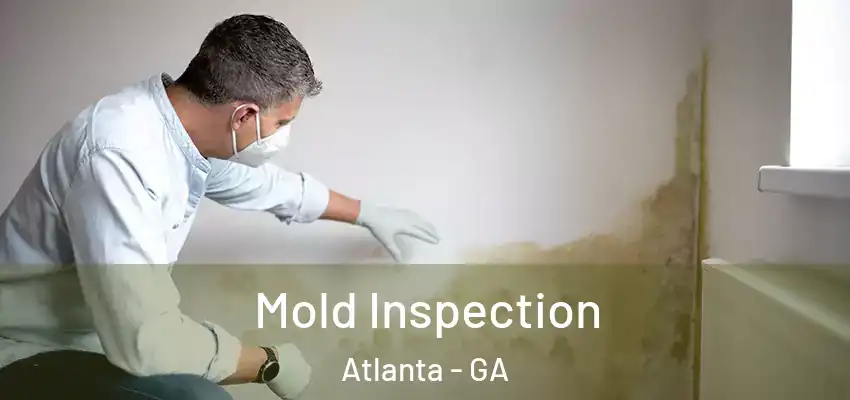Mold Inspection Atlanta - GA
