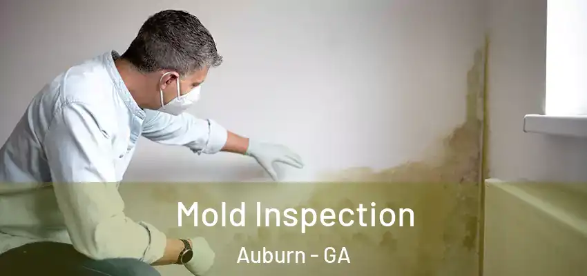 Mold Inspection Auburn - GA