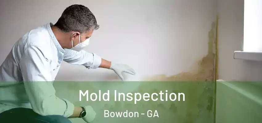 Mold Inspection Bowdon - GA