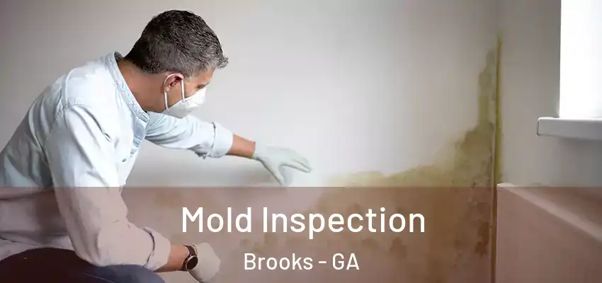  Mold Inspection Brooks - GA
