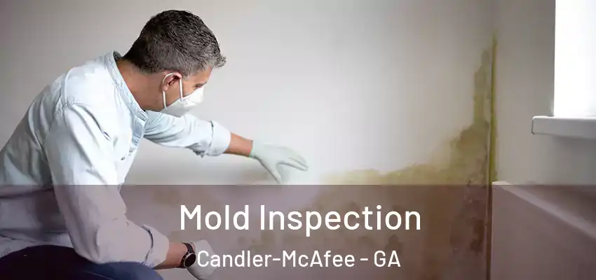 Mold Inspection Candler-McAfee - GA