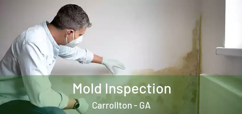 Mold Inspection Carrollton - GA