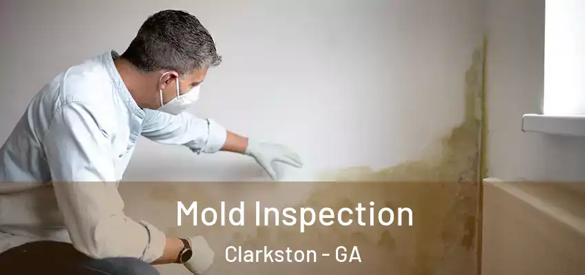 Mold Inspection Clarkston - GA