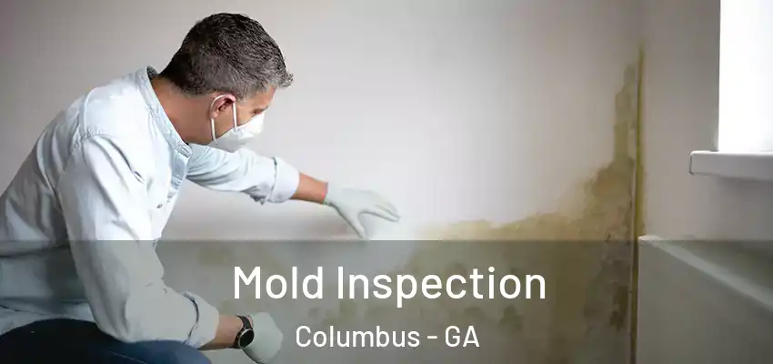 Mold Inspection Columbus - GA