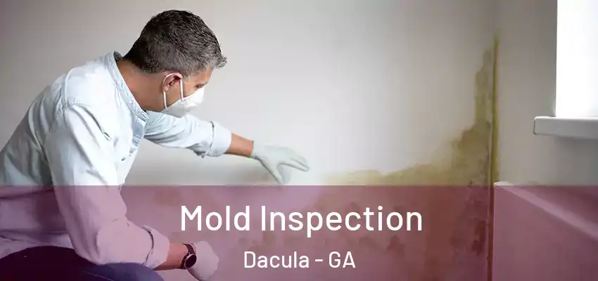Mold Inspection Dacula - GA