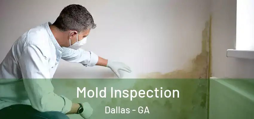 Mold Inspection Dallas - GA