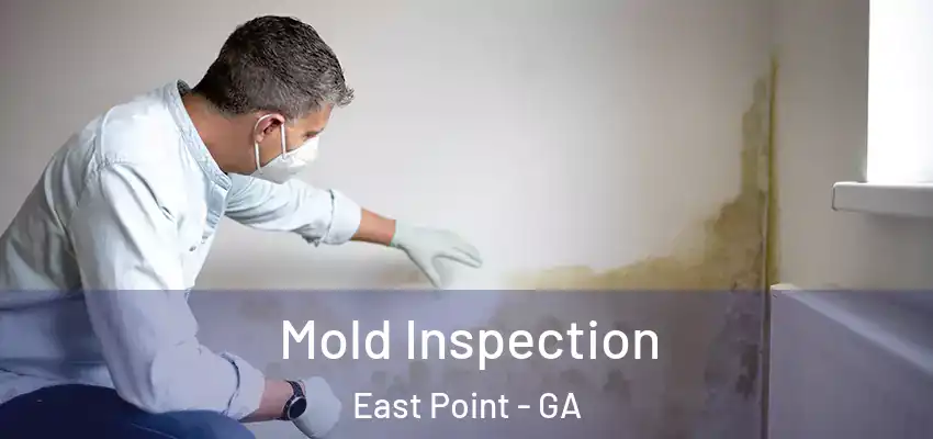 Mold Inspection East Point - GA