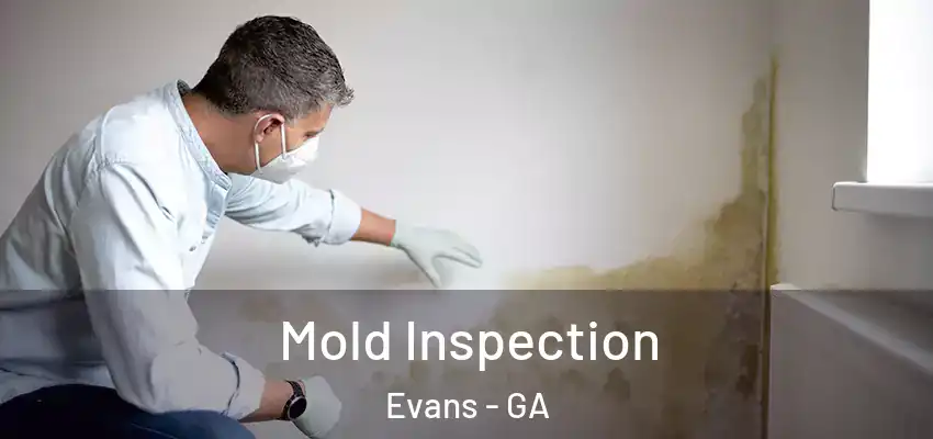Mold Inspection Evans - GA