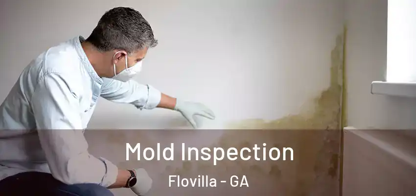Mold Inspection Flovilla - GA