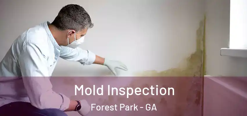 Mold Inspection Forest Park - GA