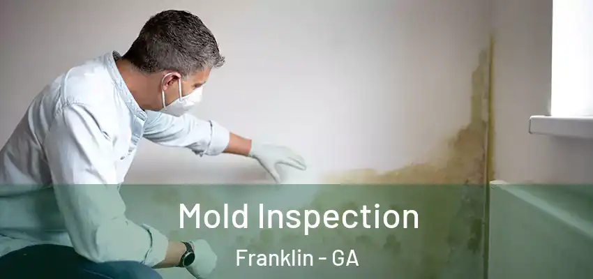 Mold Inspection Franklin - GA