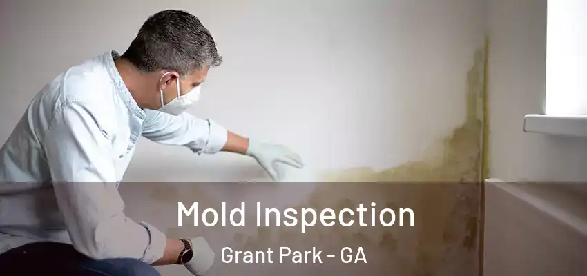 Mold Inspection Grant Park - GA