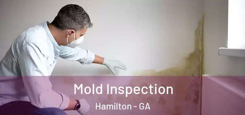  Mold Inspection Hamilton - GA