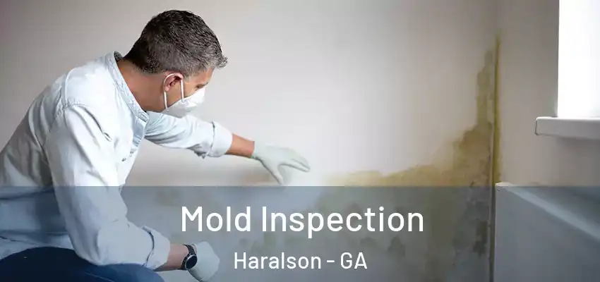  Mold Inspection Haralson - GA