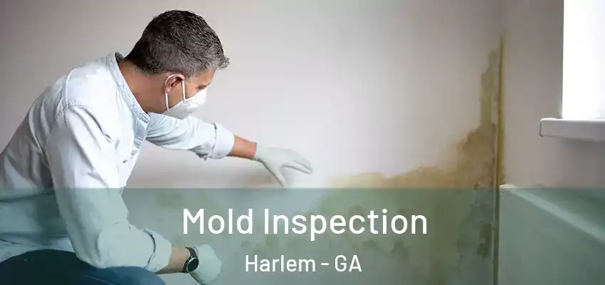 Mold Inspection Harlem - GA