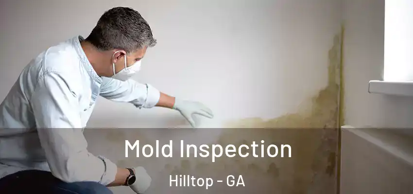 Mold Inspection Hilltop - GA
