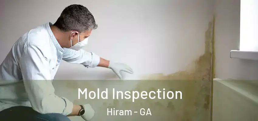 Mold Inspection Hiram - GA