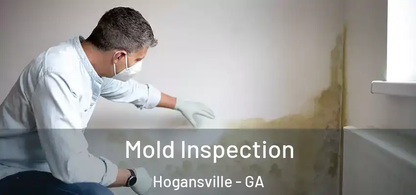 Mold Inspection Hogansville - GA