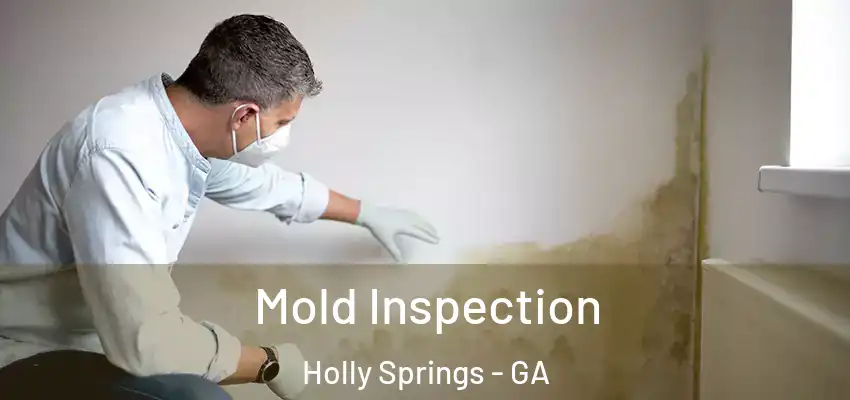 Mold Inspection Holly Springs - GA