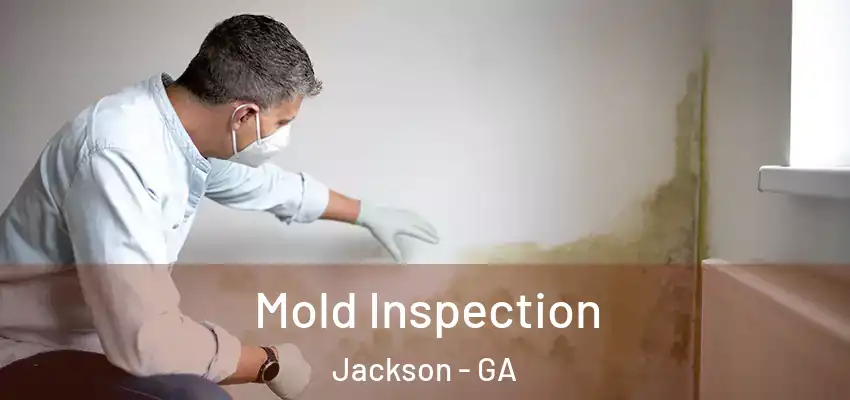 Mold Inspection Jackson - GA
