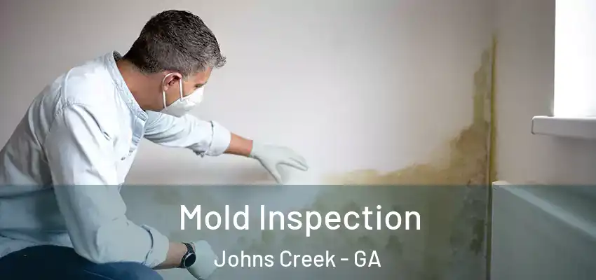 Mold Inspection Johns Creek - GA