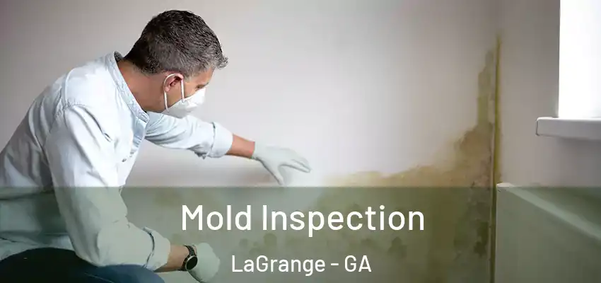 Mold Inspection LaGrange - GA