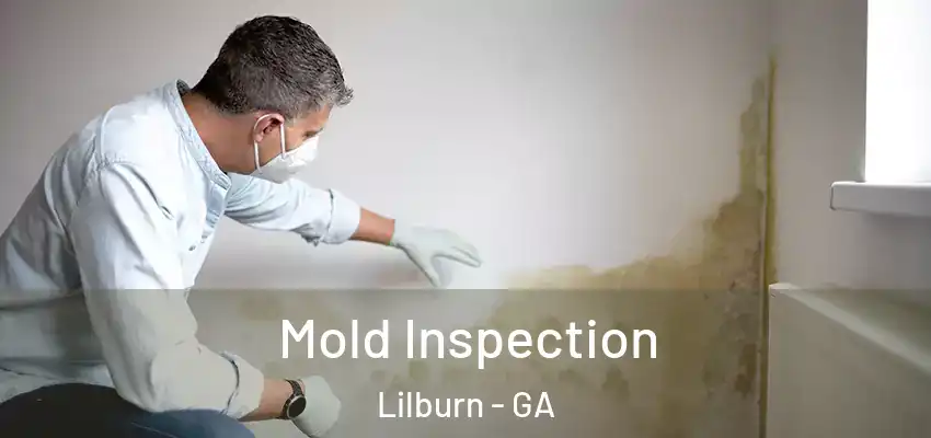 Mold Inspection Lilburn - GA