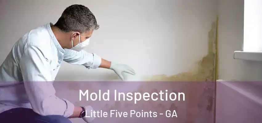 Mold Inspection Little Five Points - GA
