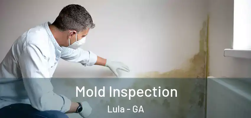 Mold Inspection Lula - GA