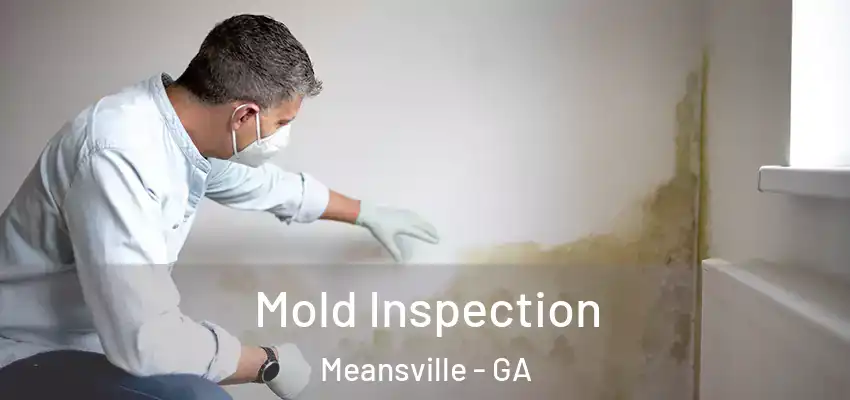 Mold Inspection Meansville - GA
