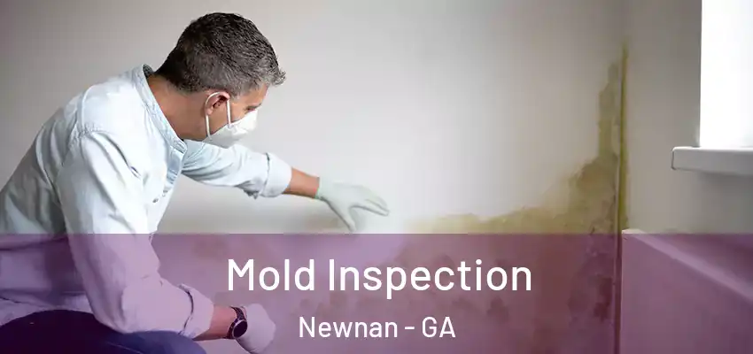 Mold Inspection Newnan - GA