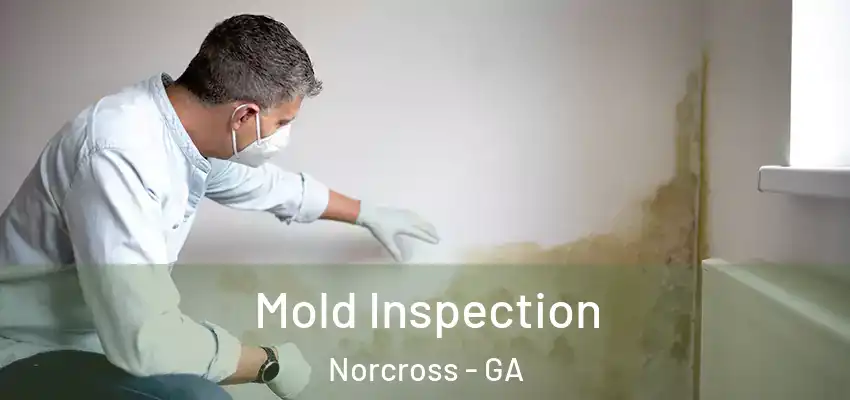 Mold Inspection Norcross - GA