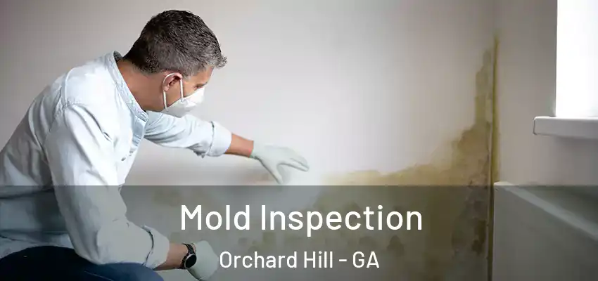 Mold Inspection Orchard Hill - GA