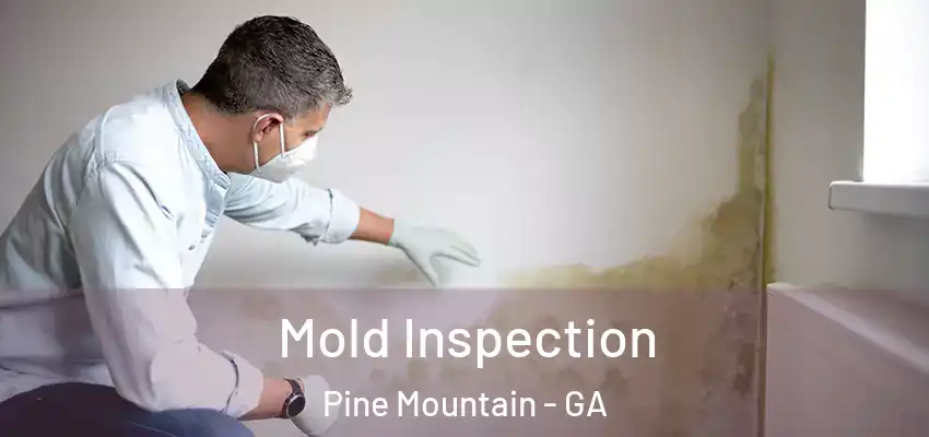 Mold Inspection Pine Mountain - GA