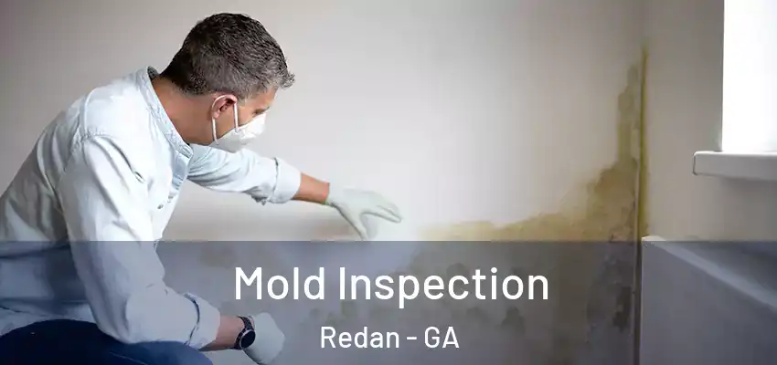 Mold Inspection Redan - GA